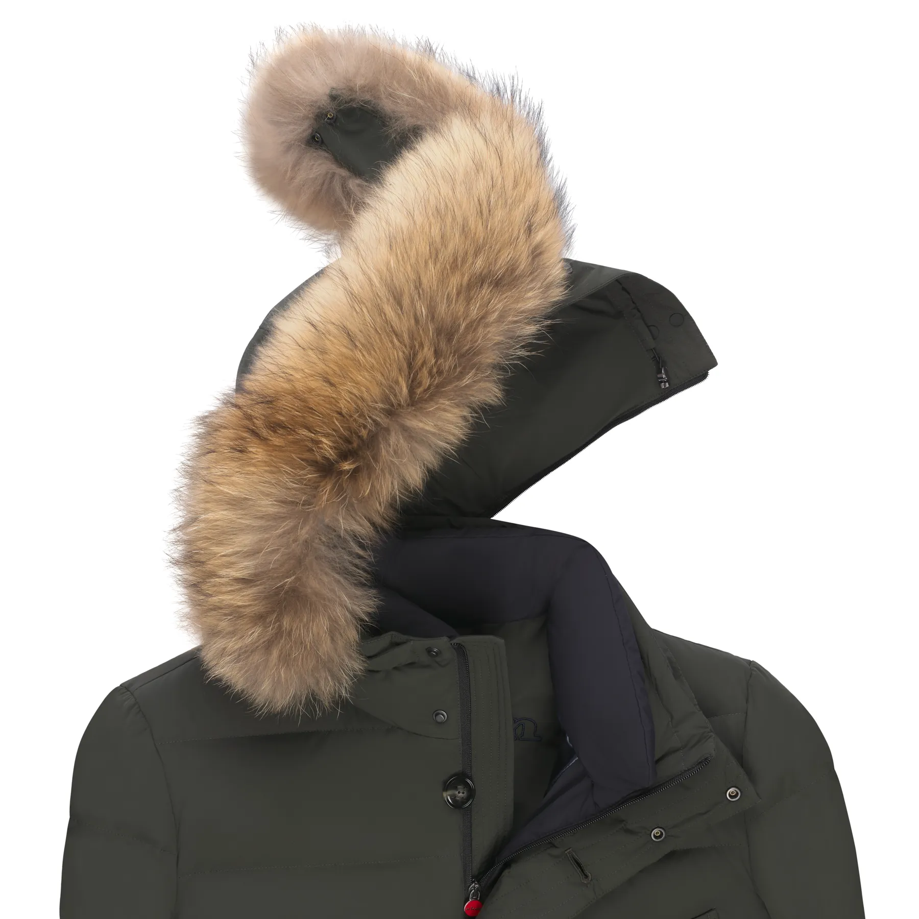 Hooded Down Winter Jacket in Green